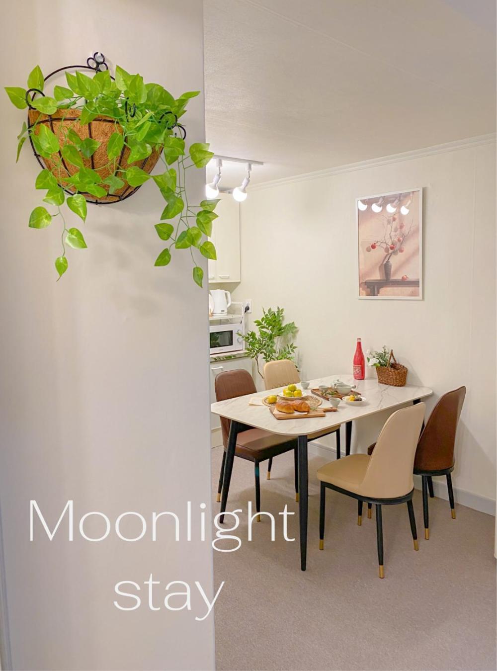 Apartment Moonlight 혜화역5분